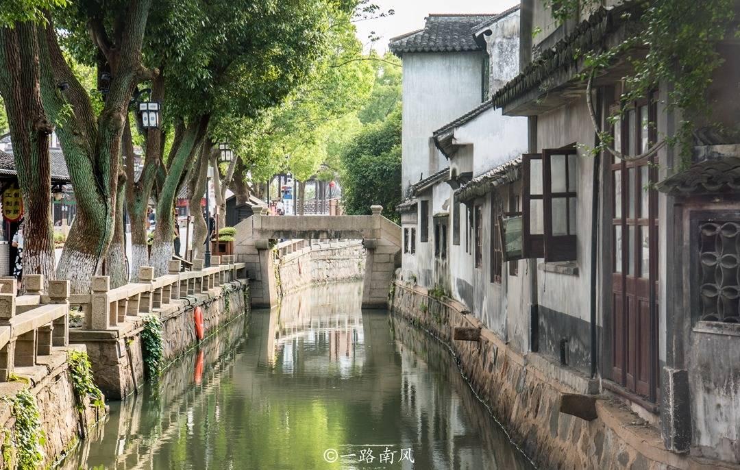 《我们的美好生活》收官，杨紫不过瘾，谢娜太真诚，而她被捧红
